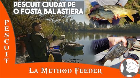 balta pandele buturugeni|Balta pescuit sportiv (@balta.
